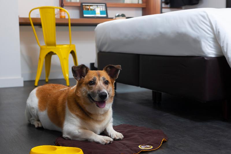 B&b Hotel São Paulo Luz   Centro