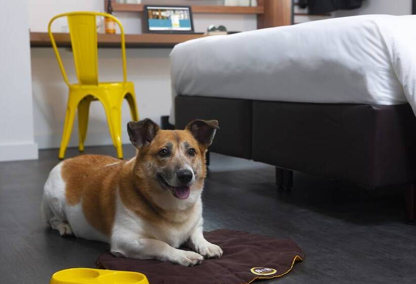 B&b Hotel São Paulo Luz   Centro