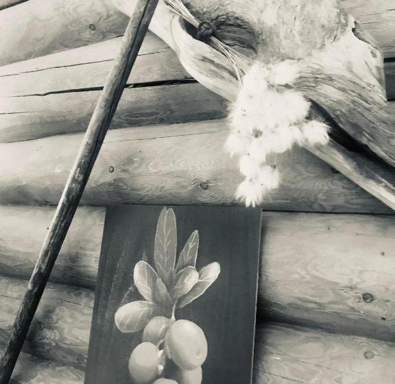 Отель Li Kolari