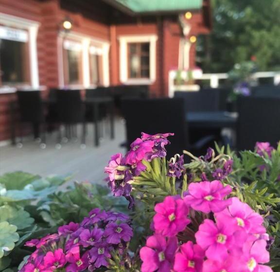 Отель Li Kolari