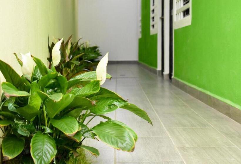 هتل Los Pinos Centro