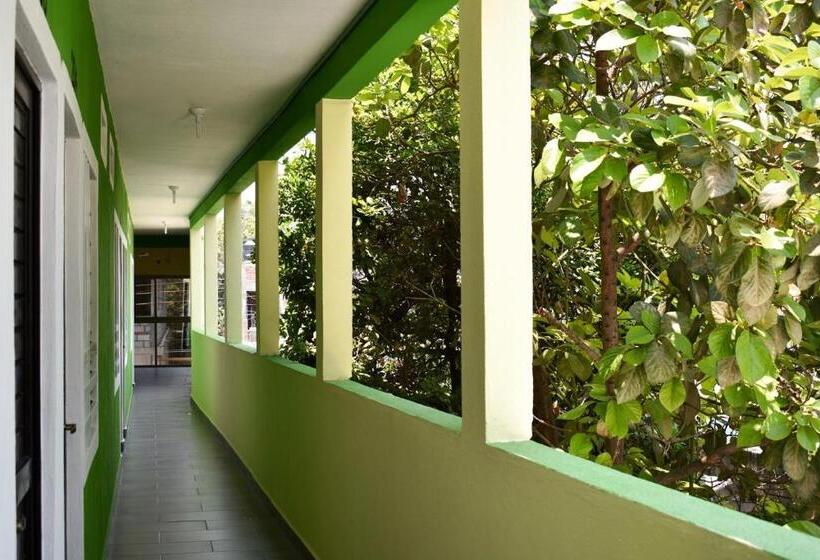 هتل Los Pinos Centro