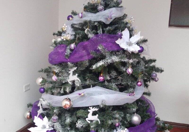 پانسیون Hostel El Jardín