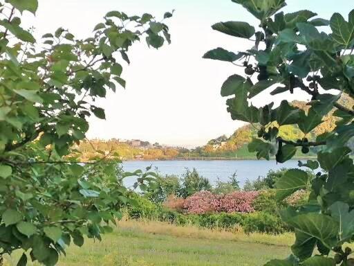 בית מלון כפרי Masseria Sardo