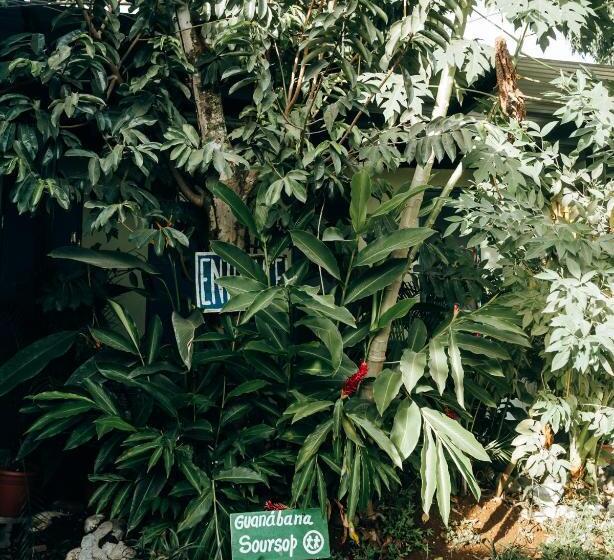 بنسيون Hostal & Café Travelers