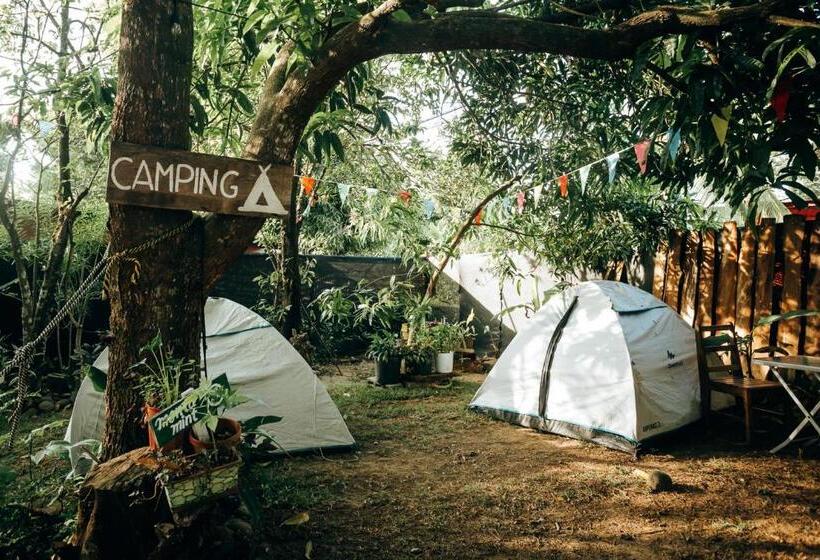 بنسيون Hostal & Café Travelers