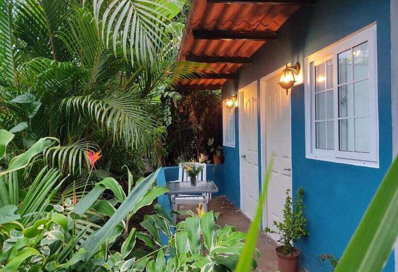 بنسيون Hostal & Café Travelers