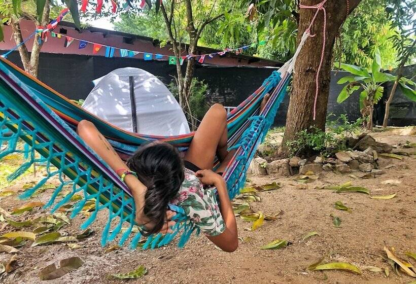 بنسيون Hostal & Café Travelers