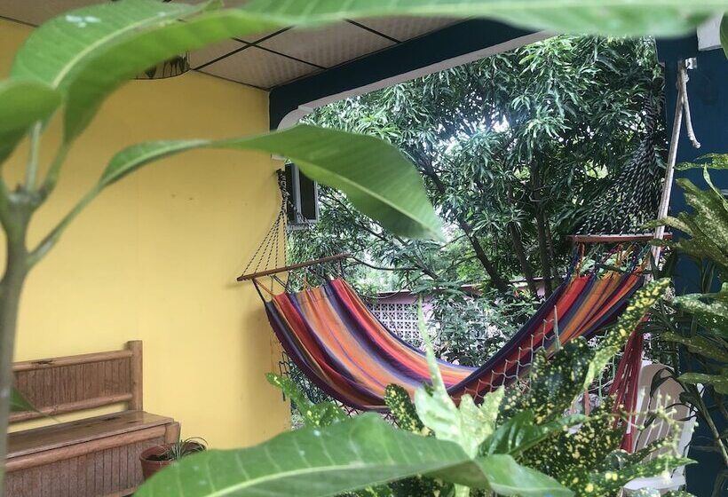 بنسيون Hostal & Café Travelers