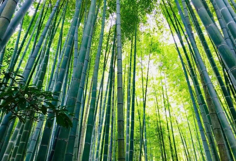 ריוקאן Kamakura Cocon