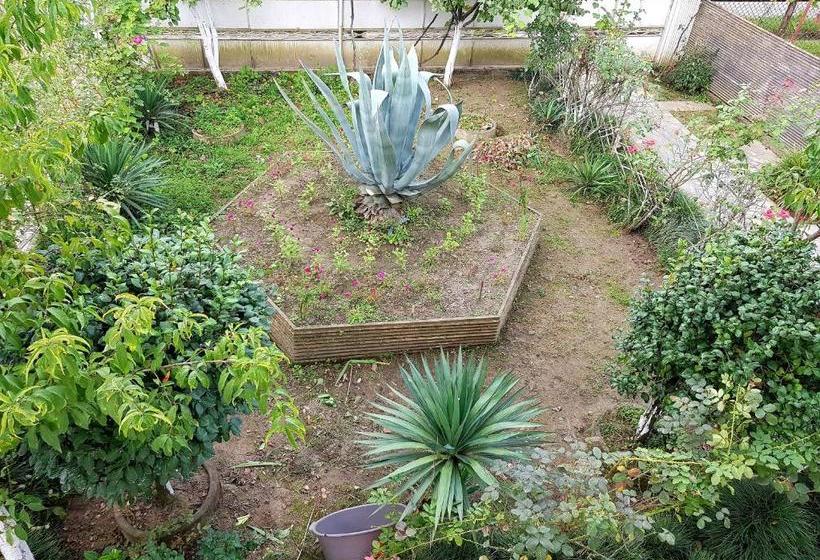 پانسیون Shirim Guesthouse