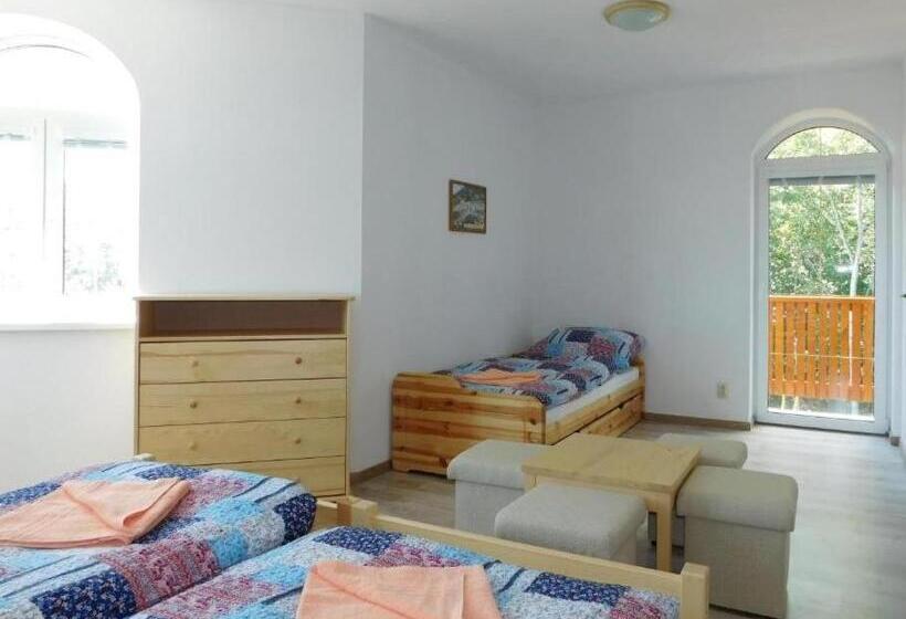 פנסיון Villa Petko