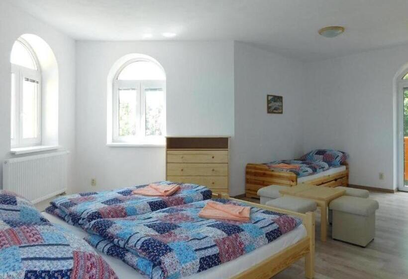 פנסיון Villa Petko