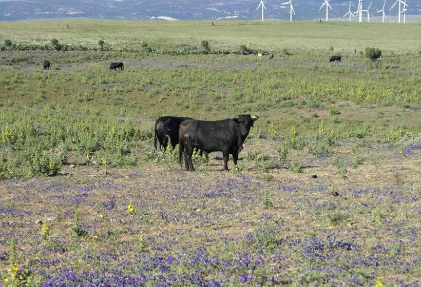 تختخواب و صبحانه Casa Tranquila