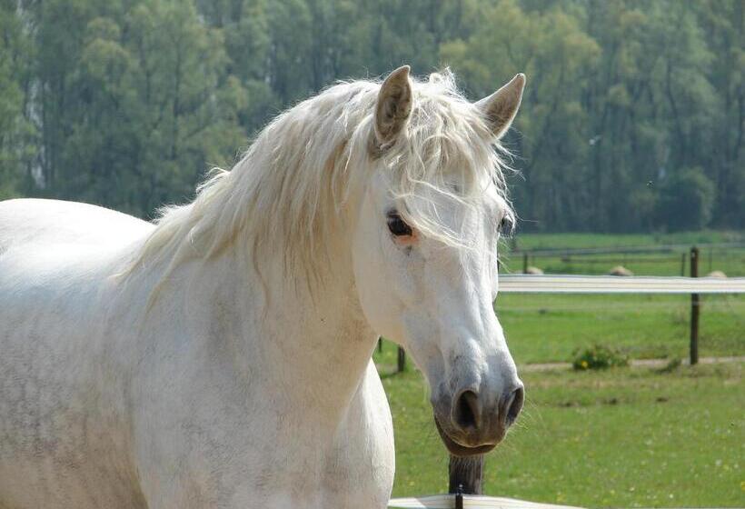 تختخواب و صبحانه Casa Tranquila