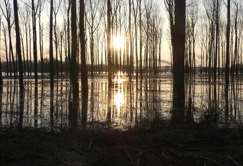 تختخواب و صبحانه Casa Tranquila