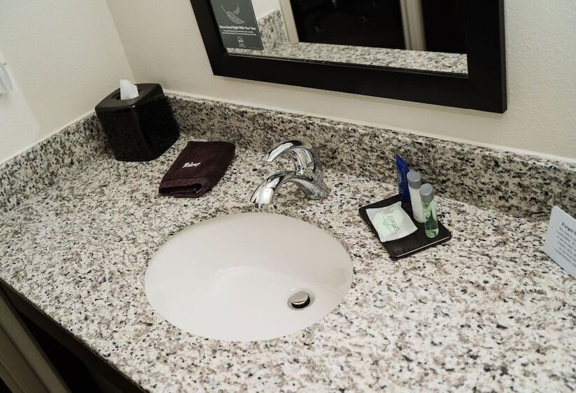 فندق Mainstay Suites