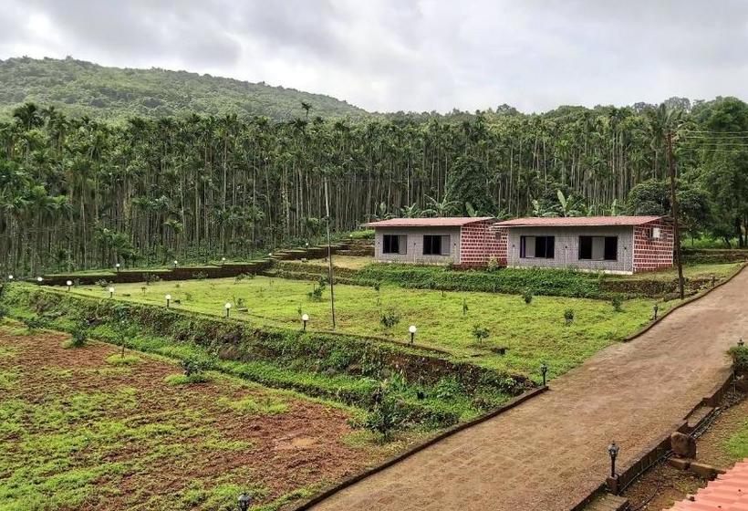 بنسيون Areca Farms