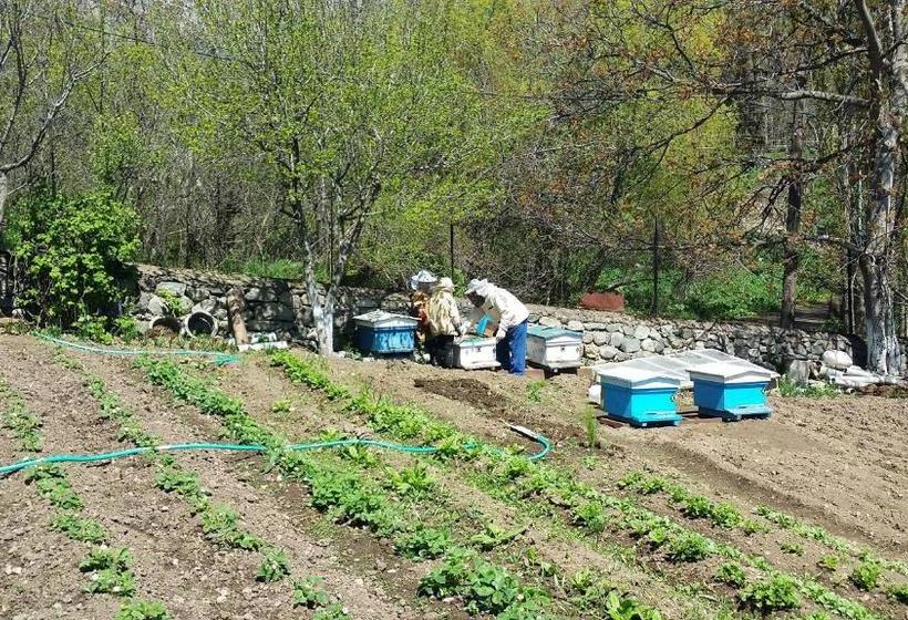 פנסיון Verishen Guest House B&b