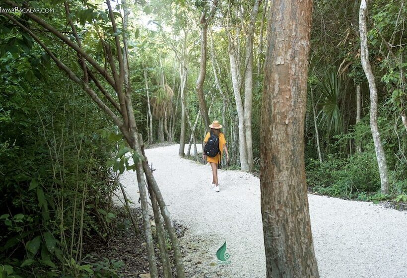 Mbh Maya Bacalar Hotel Boutique