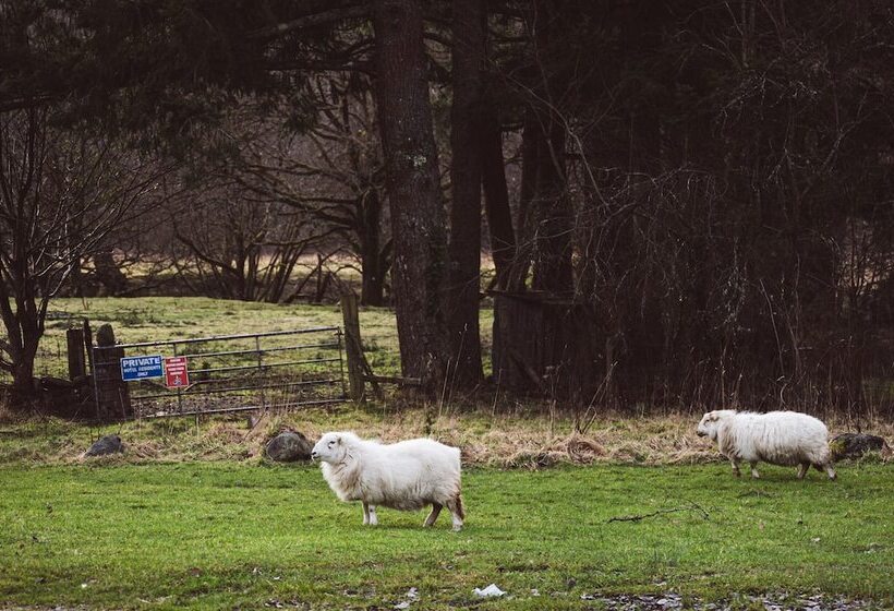 Отель Tyn Y Coed Inn