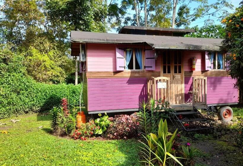 旅馆 Hosteria La Roulotte Mindo