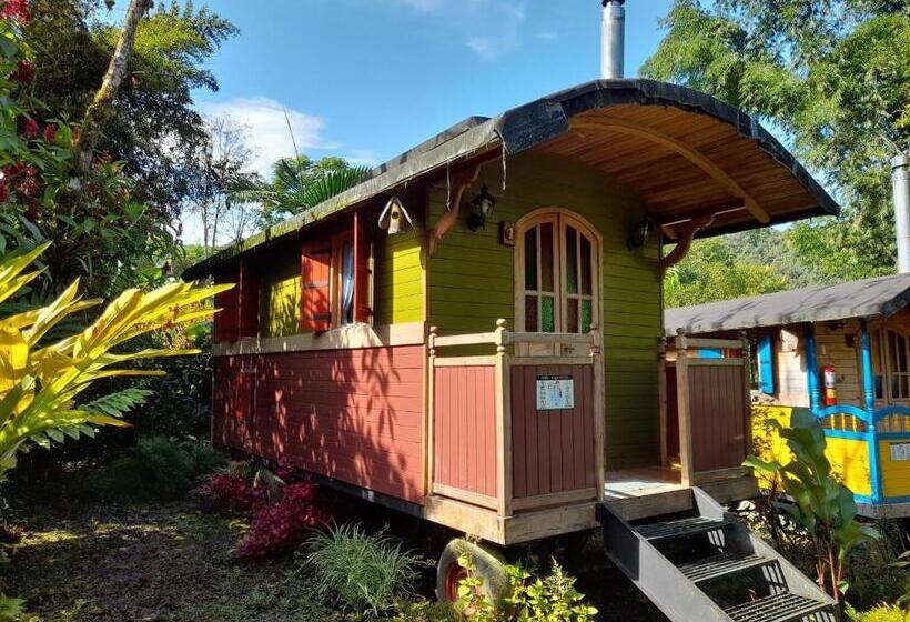 旅馆 Hosteria La Roulotte Mindo