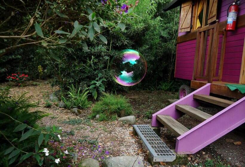 旅馆 Hosteria La Roulotte Mindo