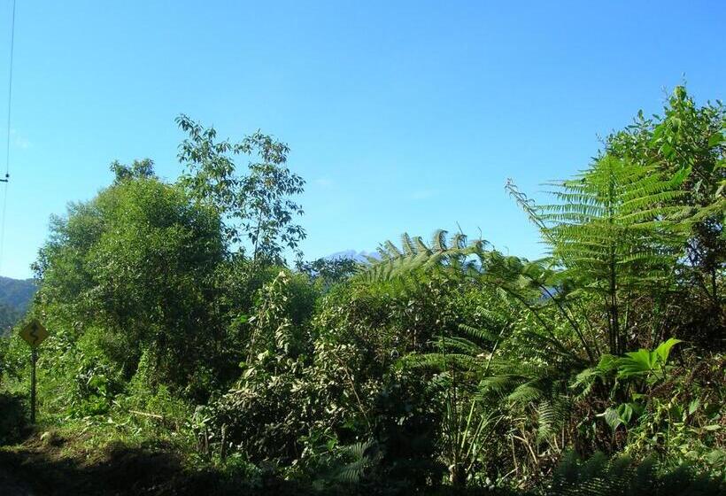 旅馆 Hosteria La Roulotte Mindo