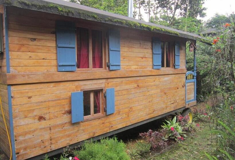 旅馆 Hosteria La Roulotte Mindo