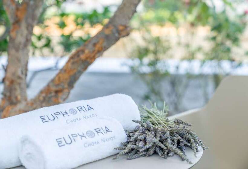 Euphoria Chora Naxos