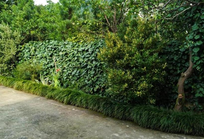 پانسیون Guesthouse Green Oasis