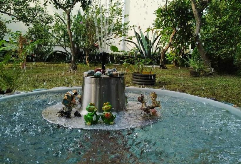 پانسیون Guesthouse Green Oasis