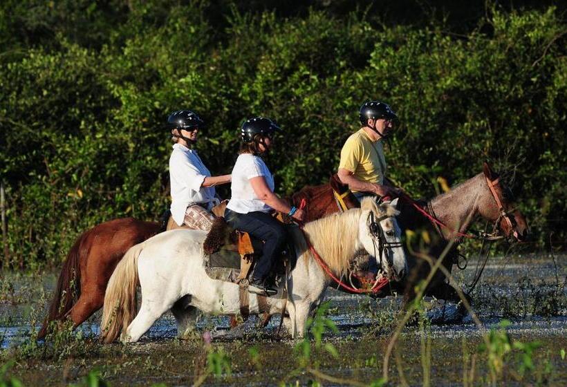 בית מלון כפרי A Pousada Do Rio Mutum