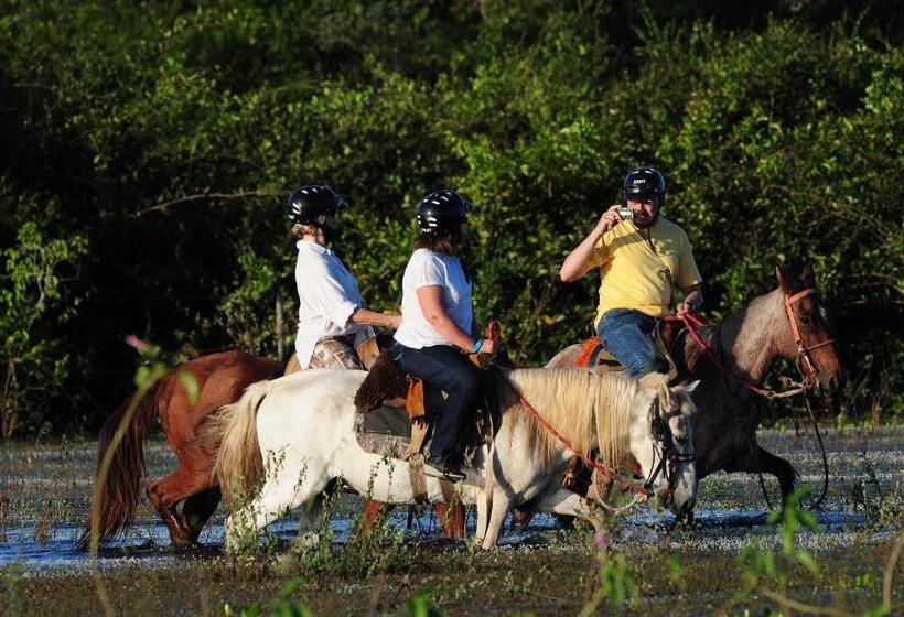בית מלון כפרי A Pousada Do Rio Mutum