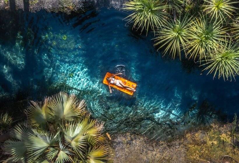 فندق Darwin Freespirit Resort