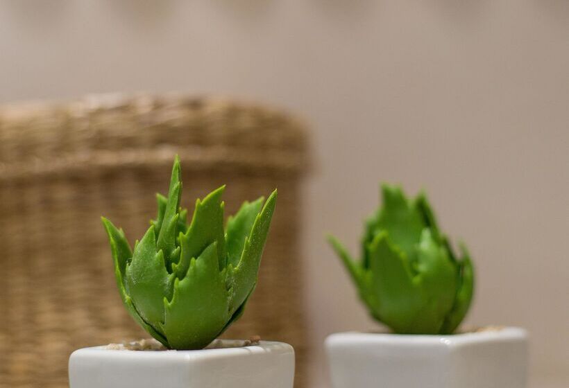 בית מלון כפרי Enorme Serenity Spritz  Adults Only