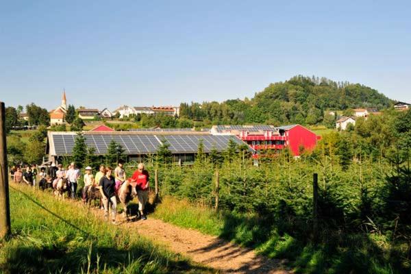 Familienhotel Reiterhof Runding