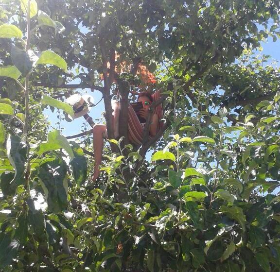 Отель Appartements Färberhof