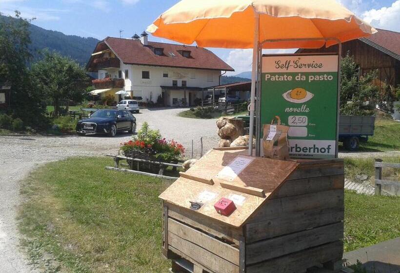 Отель Appartements Färberhof