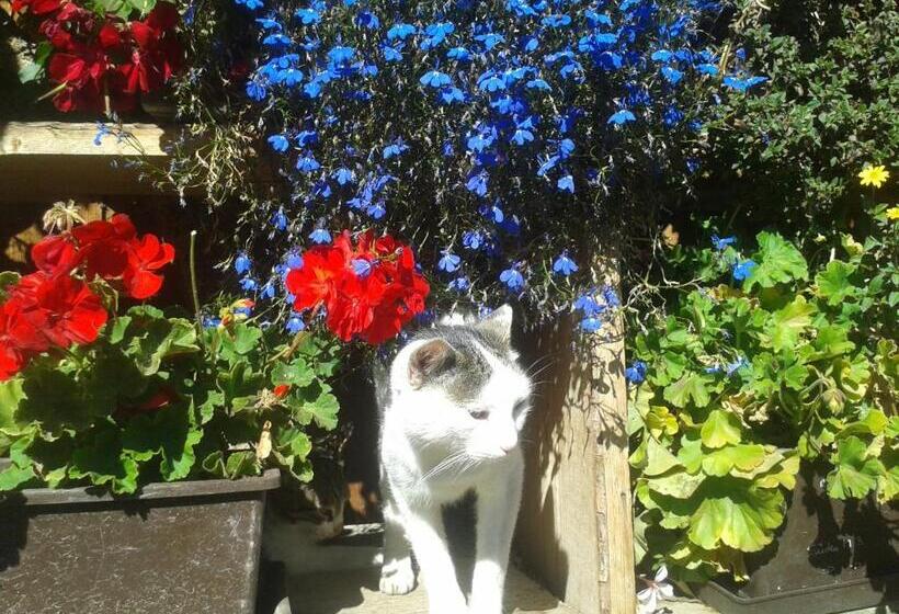 Отель Appartements Färberhof