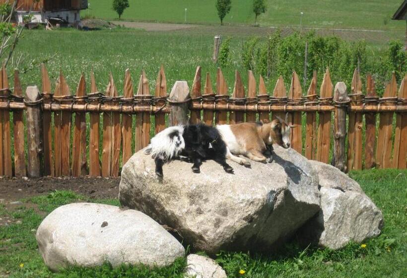 Отель Appartements Färberhof