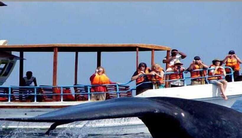 فندق Suwa Arana Resort