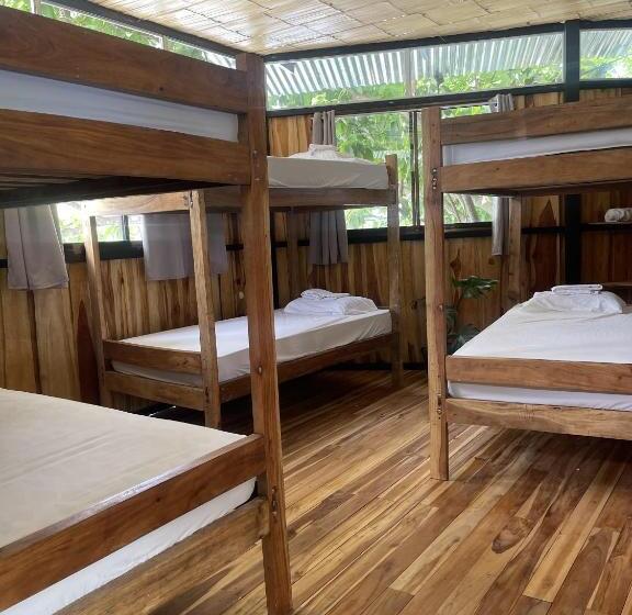 ペンション El Gato Rojas Surf Hostel