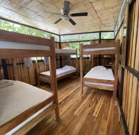 פנסיון El Gato Rojas Surf Hostel