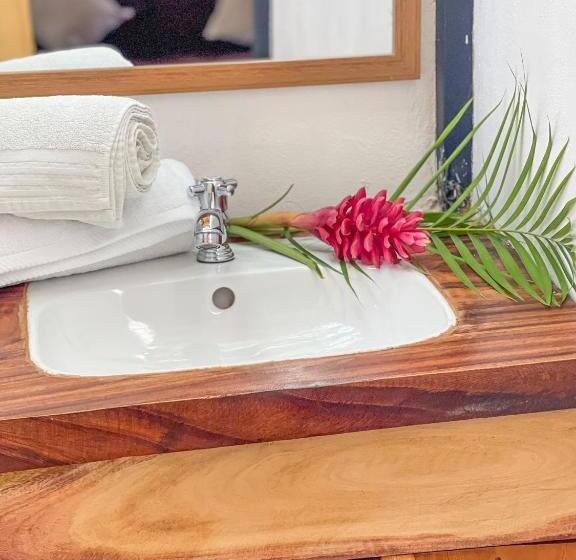 פנסיון El Gato Rojas Surf Hostel