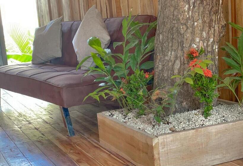 ペンション El Gato Rojas Surf Hostel