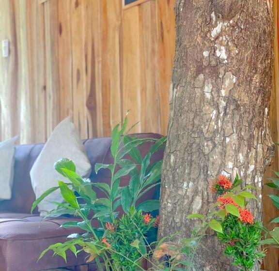 פנסיון El Gato Rojas Surf Hostel