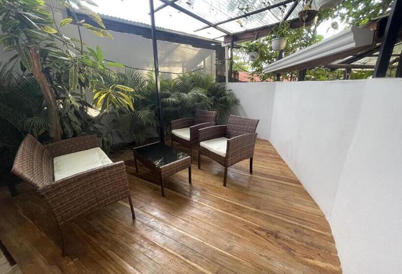 פנסיון El Gato Rojas Surf Hostel