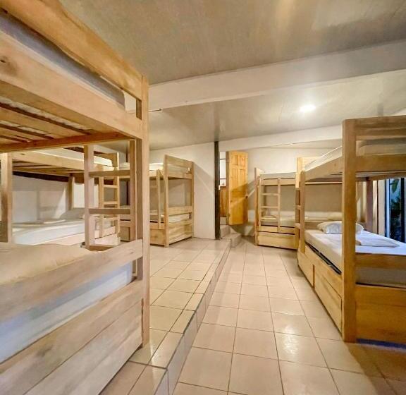 פנסיון El Gato Rojas Surf Hostel